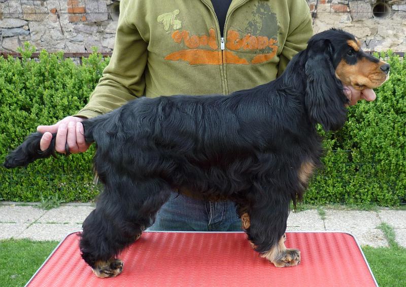 Karel-Argo 8.5.2010 g.JPG